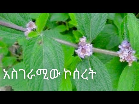 ቪዲዮ: ነጠላ ምትክ ለምን ጥቅም ላይ ይውላል?