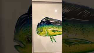 Download Lagu Mahi mahi drawing MP3