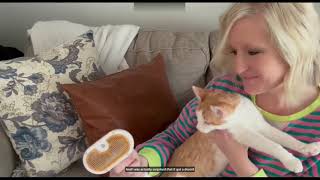 Watch me try out this Pet Steam Brush & Rinse!