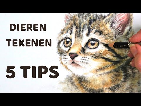 Video: Dieren Tekenen Met Een Potlood A