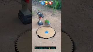 " New unique parrot cutting. #shorts #trap #funny #comedy #birds #nature #birdtrap