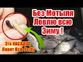 На замену Мотыля! Эта насадка ловит всю рыбу Супер Рыболовная насадка Лещ Окунь Плотва Карась