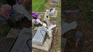 Vietnam Veteran grave in Indiana #shorts #military