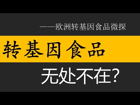 转基因就在我们身边？－转基因食品在欧洲荷兰