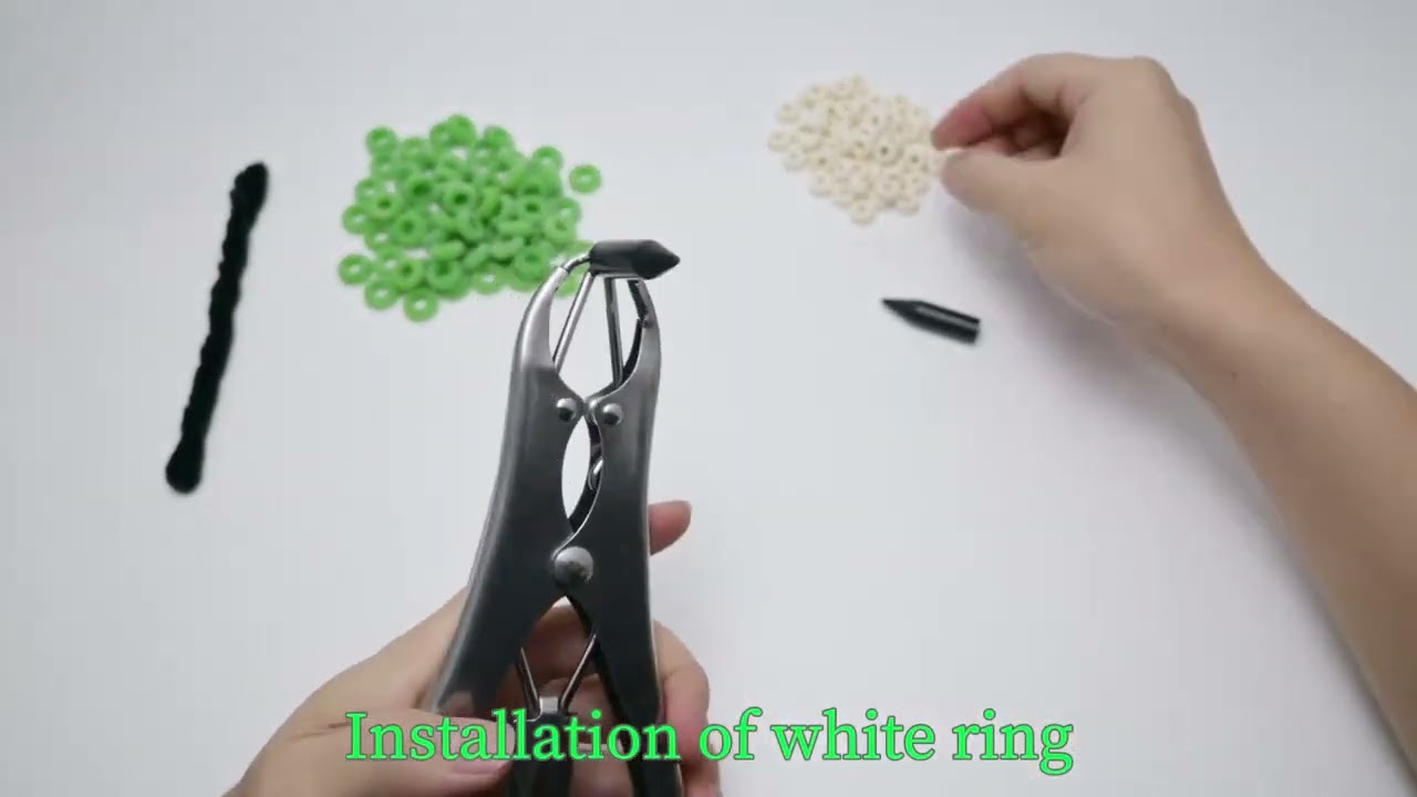 Goat, sheep banding castration ring 9745979898