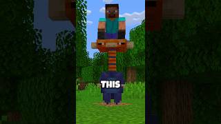 NEW Ride in Minecraft #shorts #minecraft