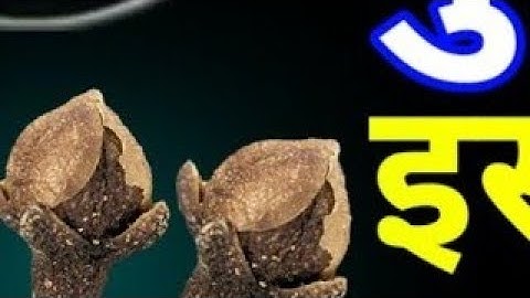 10 सितंबर बुधवार तृतीया के दिन इस जगह फेंक देना 3 लौंग बनोगेPradeep Ji Mishra