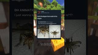 Animal Memes