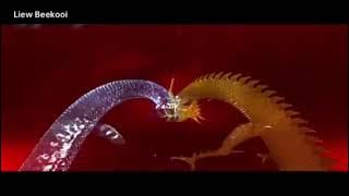 Nagaswara Intro (2017-2019)