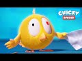 Where's Chicky? | KITE | Chicky Cartoon in English for Kids