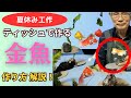 【夏休み工作】ティッシュで泳ぐ金魚を作りませんか⁉️
