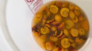 Part 1 - Making Apricot Brandy
