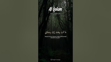 سورة القلم سالم الرويلي