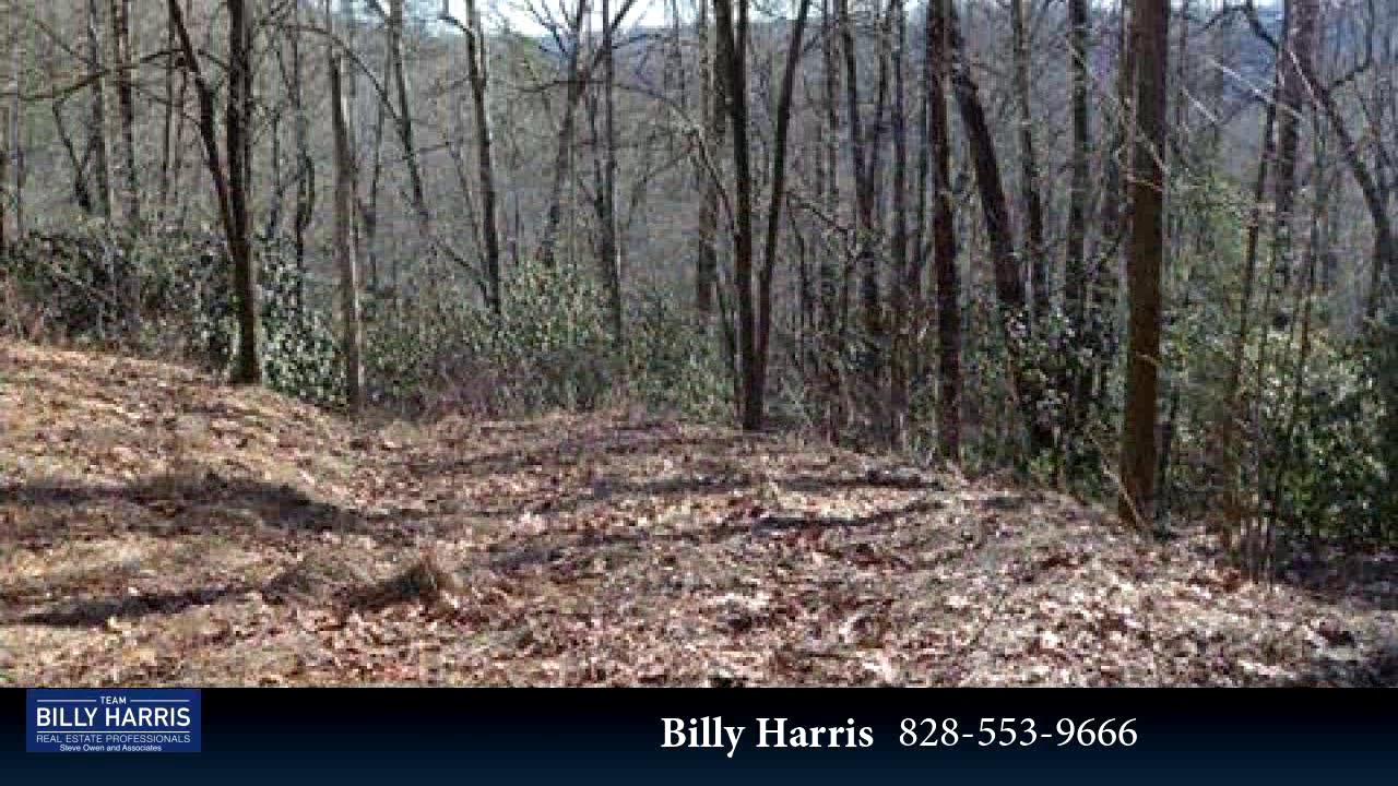 Lots And Land for sale 19 lot package Laurel Thicket Lane 19 lot package, Brevard, NC 28712