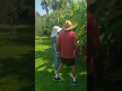 Beautiful Brevard Discovery Garden in Cocoa