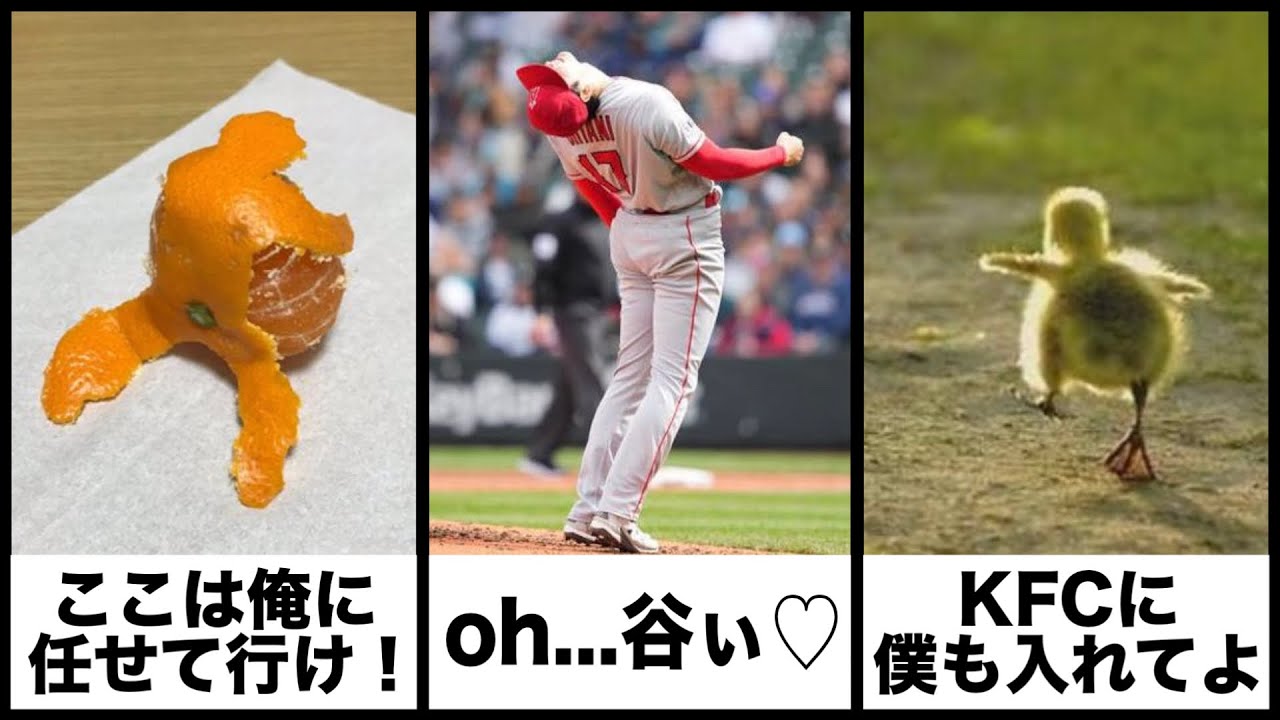 【感動】ボケての感動ネタに本気でアフレコしてツッコんでみたらヤバすぎたｗｗｗｗ総集編【第2弾】