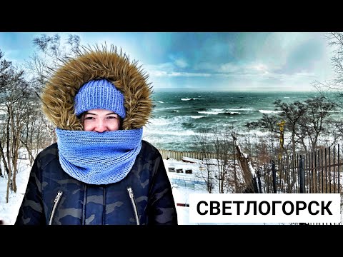 Видео: Прогулка по СВЕТЛОГОРСКУ 2024 - Европейский курорт в России, ОБЗОР ГОРОДА, Русская Прибалтика.