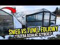 Śnieg VS Tunel Foliowy | Sprawy bieżące u mnie! #VLOG