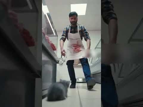 Este gatito solo buscaba qué comer, pero PASÓ ESTO 😱 #shorts