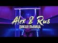 ALEX & RUS – Дикая львица (Official Video 2019)