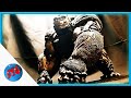 Sculpting Optimus Primal from Transformers: Rise of the Beasts