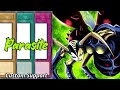 Custom support parasite weevils bugs