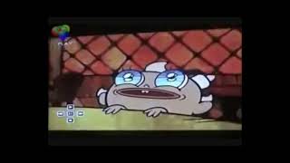 Wtf Boom Flapjack Laugh
