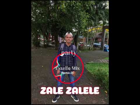 DJ ZALE ZALELE PARTY REMIX 𝔼𝕏𝕊𝔼𝕃𝕃𝕆 𝕄𝕀𝕏🌴FYP PARTY 2024