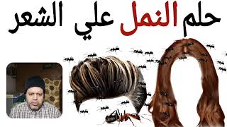 تفسير حلم رؤيه النمل على شعر الانسان في المنام | محمود منصور النمل