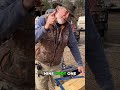 Perfect Rafter Cuts Every Time #woodworking #construction