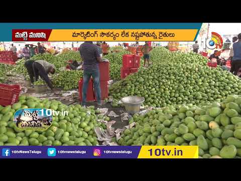 మామిడి మార్కెట్‎కు మోక్షం ఎప్పుడు.? | Mango Farmers Facing Problems | Matti Manishi | 10tv Agri