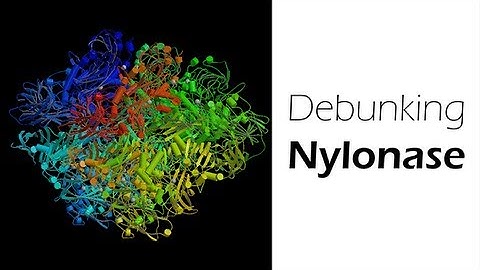 Debunking Nylonase