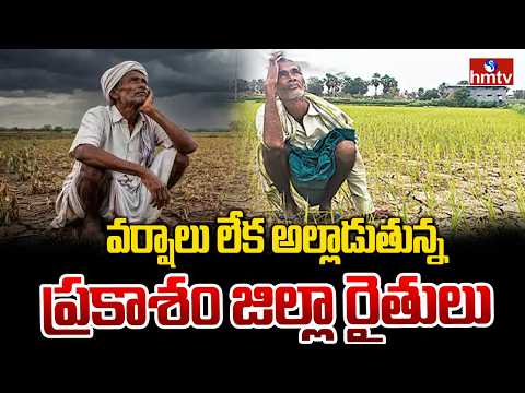 వర్షాలు లేక అల్లాడుతున్న ప్రకాశం జిల్లా రైతులు | Prakasam Farmers Struggle for Rains | hmtv - HMTVNEWS