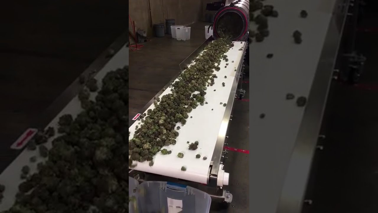 CenturionPro XL 5.0 SE throughput video