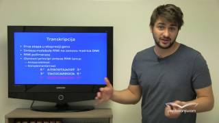 Transkripcija, Molekularna Biologija