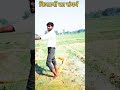 खेतों में काम कैसे करते हैं #viralvideo #cproysir #motivation #shortvideos #youtubeshorts #viralvide