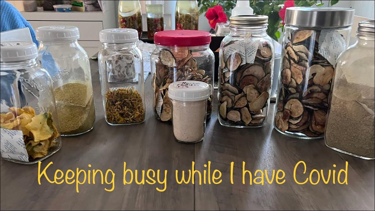 Dehydrating Squash Fleur, Zucchini chips Preserving For The Winter