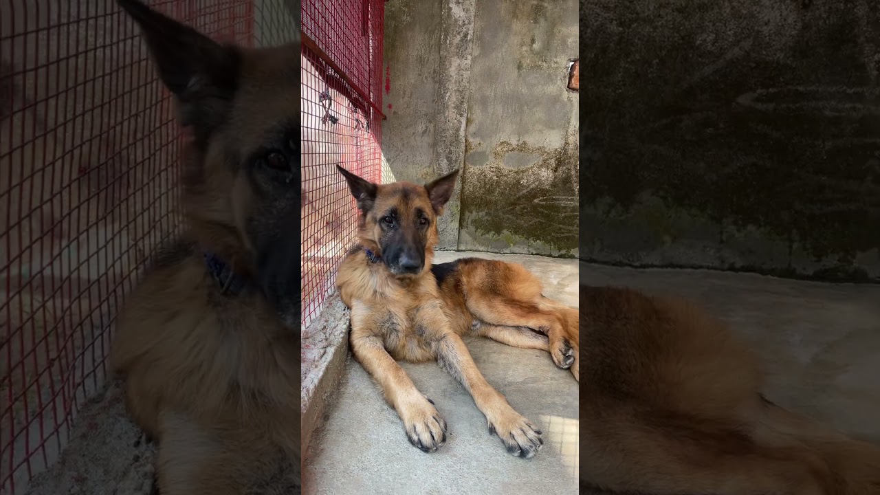 Bruno disappeared 👻🥲😅🧐 