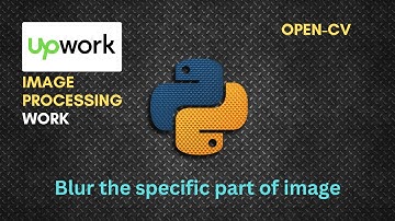 Blur the specific Part of Image  |  Upwork 50$  work | Open-cv | Python Tutorial