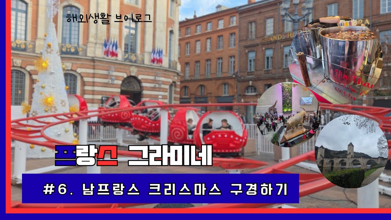 [프랑스vlog#6]프랑스 크리스마스 마켓 구경ㅣ감자탕 끓이기ㅣ벼룩시장 구경