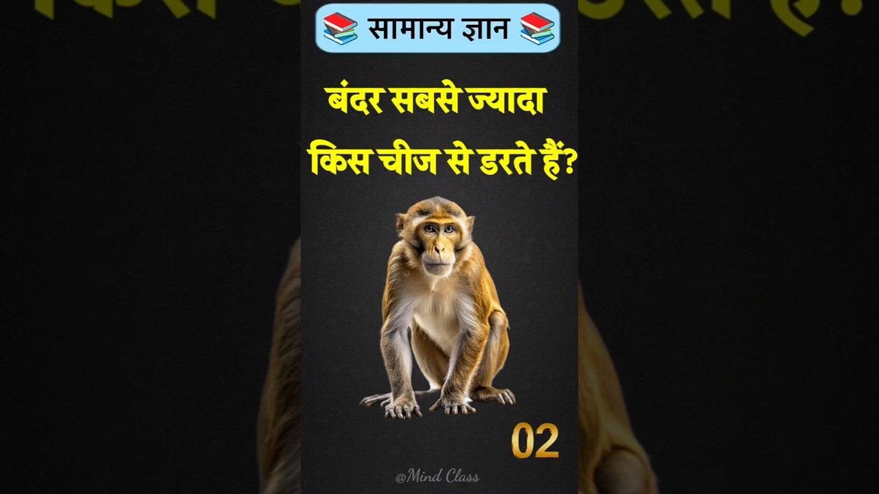 Top 50 ✍️ IAS Level GK Questions 🔥 | Most Important GK Question Answer | Part-1569