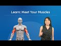 Understanding Muscles and Strength