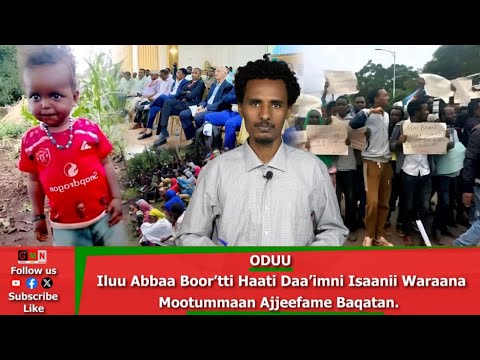 GMN Oduu Adoolessa 31 2025 