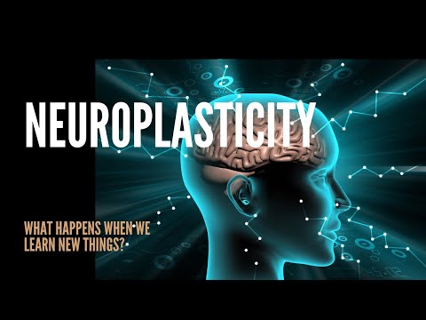 The Power of Neuroplasticity: What We Didn't Know
