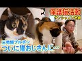 【※急接近※】三毛猫ブルボンとサンシャイン池崎さんの距離がついに…
