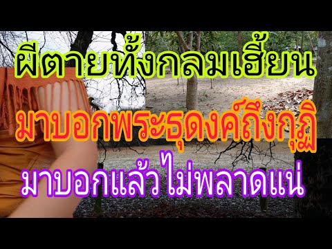 ผีตายทั้งกลมและกุมารมาบอก-พระธ