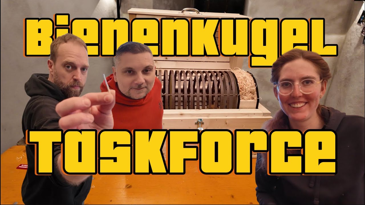 Die Bienenkugel TaskForce, wir bauen eine Bienenkugel - Bausatz, Aufbau, Insiderwissen und Spaß ✊😊