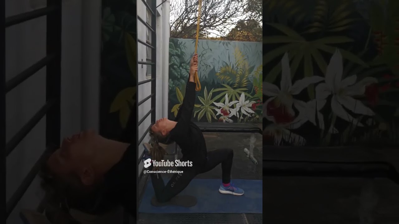 EXERCICE Comment Tirer Tout Le Corps En 1 Seul Exo Chellesu Doise
