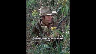 They use a hornet's nest to rob a gold train #film#movie#shorts