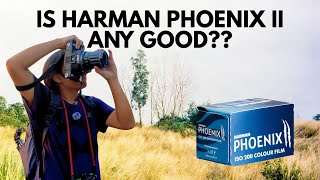 Harman Phoenix II in 35mm &amp; 120 Review, A New Color Film!
